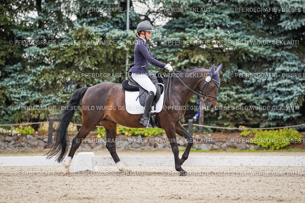 DSC01214 | Pferdegrafie