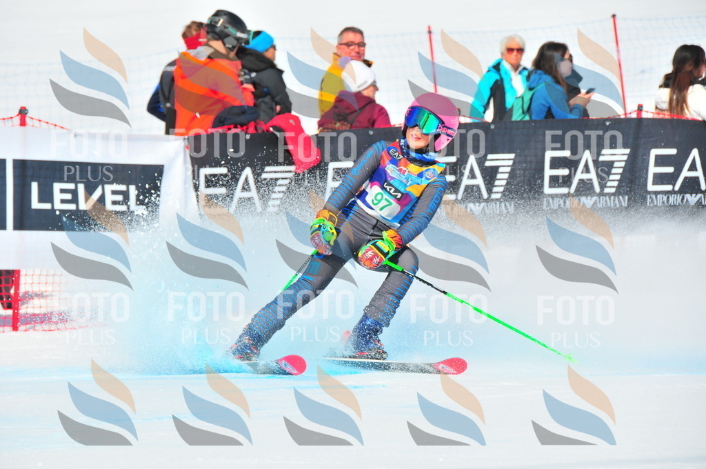 DSC_0666 | holidayphoto