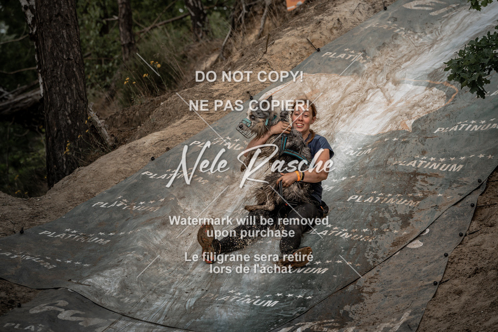 nelerasche_sa1500-1530_187 | nelerasche