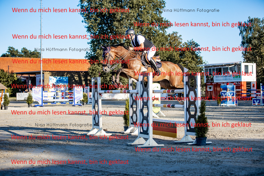 BK1A8457 | Turnierbilder Turnierfotos Nina Hüffmann Turnierfotografie Pferdefotografie Tierzeichnung Haustierzeichnung Pferdezeichnung Hundezeichnung Videograf  - Realisiert mit Pictrs.com