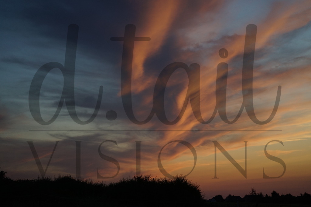 REC00973 | d.tail Visions - Shop - Realisiert mit Pictrs.com