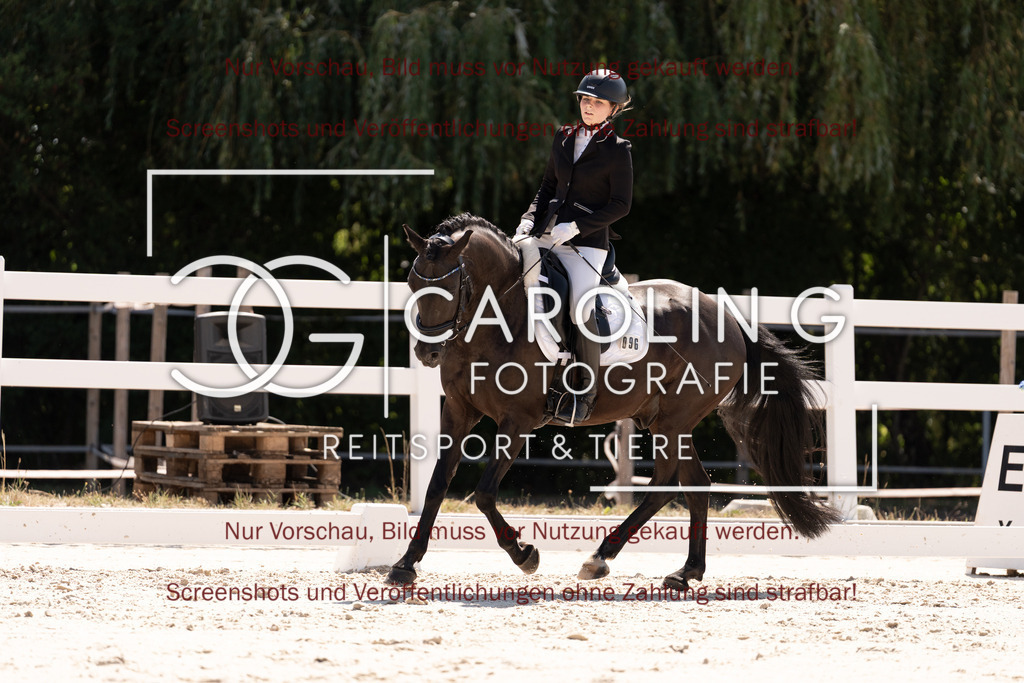 DSC05233 | Dressurturnier_Göppingen_2026, Jessica_Riana_Jung, Shooting_Star