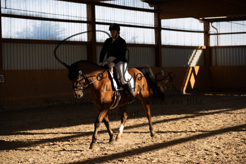 A7V01780 | Pferdefotograf