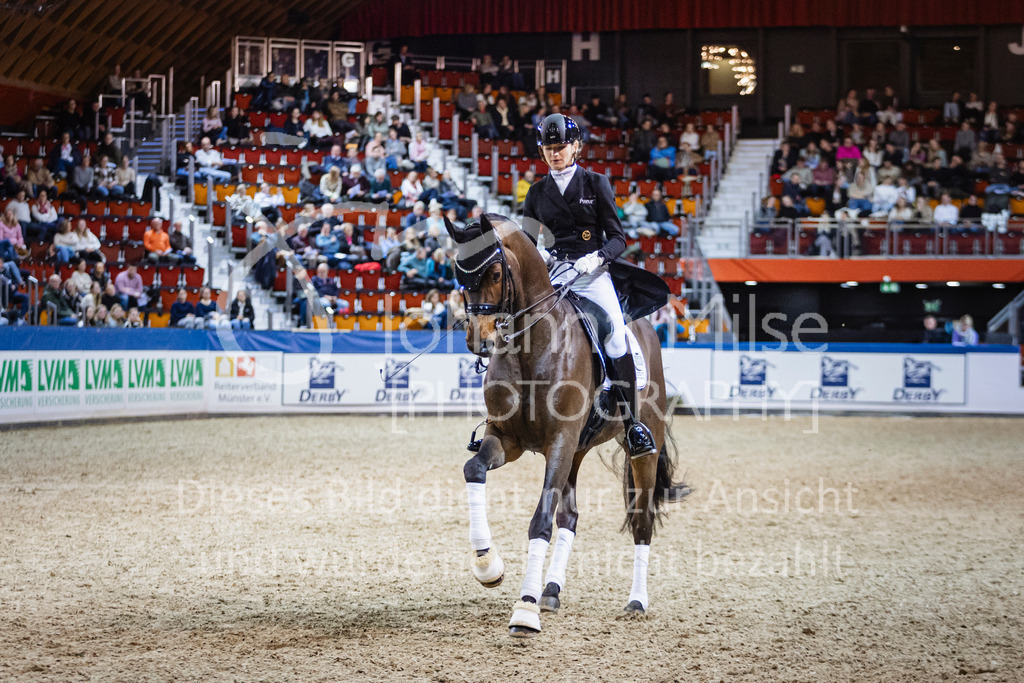 250108_Muenster_Hengstpräsentation-177 | Deine schönsten Turniermomente als professionelle Fotos! Entdecke hochwertige Pferdesport-Fotografie im Online-Shop. Jetzt Fotos finden & bestellen!