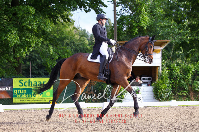 DKP41758 | Deine Turnierfotos vom Reitturnier online kaufen: Dressur, Springen & Siegerehrung. Professionelle Pferdefotografie aus dem Rheinland – als Download & Print.Alternative: Turnierfotograf für den Pferdesport: Finde deine Fotos von Dressur- und Springturnier