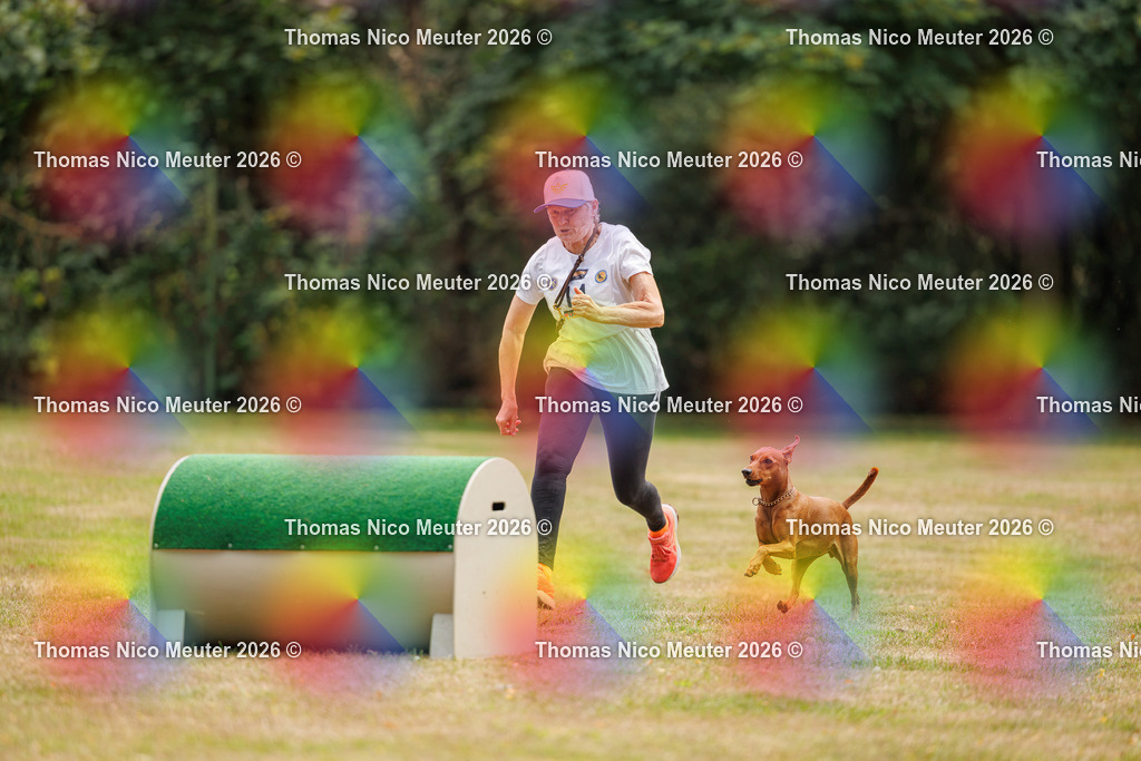 Thomas_Nico_Meuter(C)_22. August 2026_223A4598 | Bild von Thomas Nico Meuter - Realisiert mit Pictrs.com