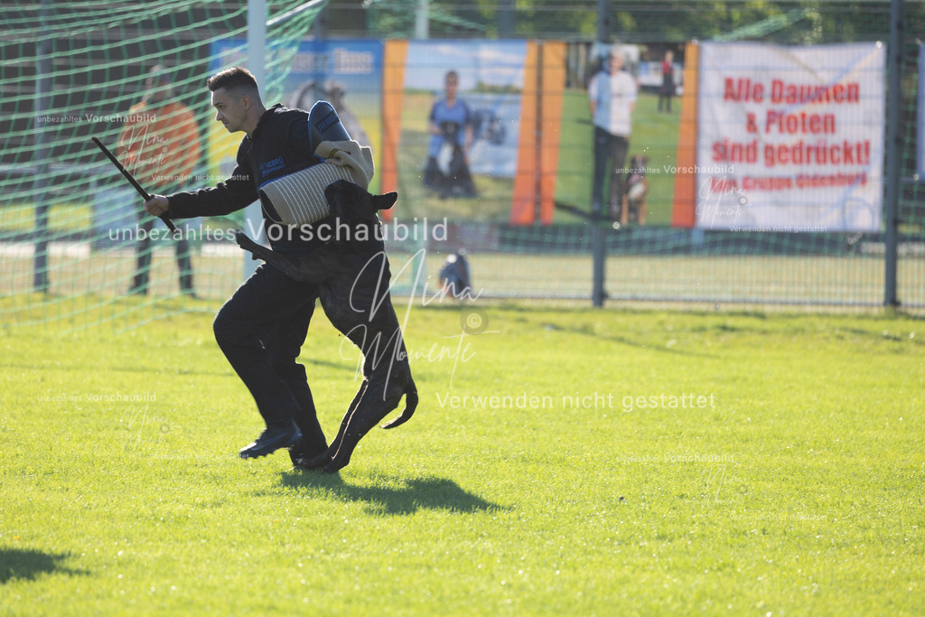 _16A4888 | Einzigartige Fotos von Hunden & Menschen –Actionfotos, Portraits, Vereinsaufnahmen & Paarshootings – authentisch, lebendig & mit Herz.