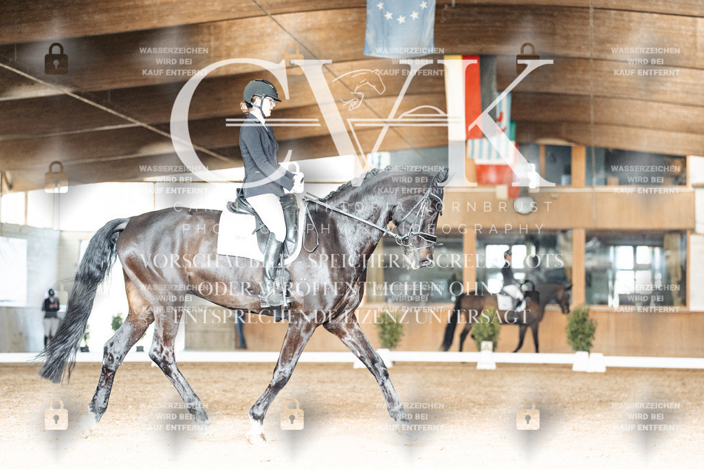 CK902480 | Turnierfotografie Pferdefotografie Trier Rheinland-Pfalz Pferdesport Reitsport Tierfotografie Sportfotografie Pferdevideo Pferdevideografie Equestrianvideography equestrianphotography  - Realisiert mit Pictrs.com