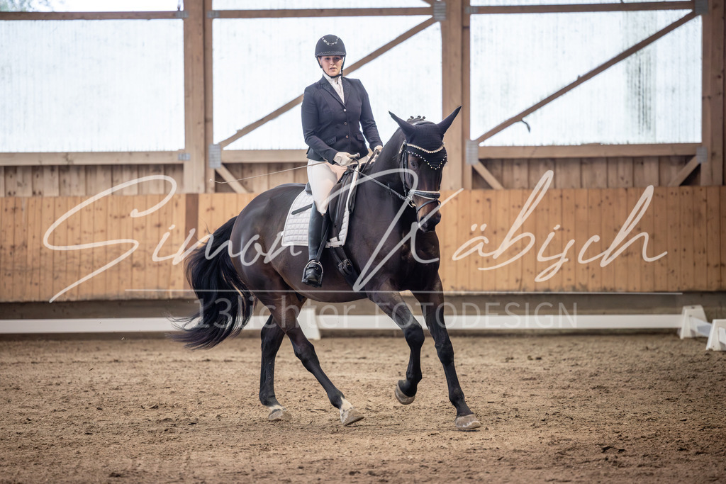 20251011-_3LI0186 | Tierfotografie Pferde, Hunde, Katzen, Haustiere.
Turnierfotografie Reitturniere, Reiten, Springreiten, Dressur in Hanau, dem Main-Kinzig-Kreis und dem Rhein-Main- Gebiet um Frankfurt