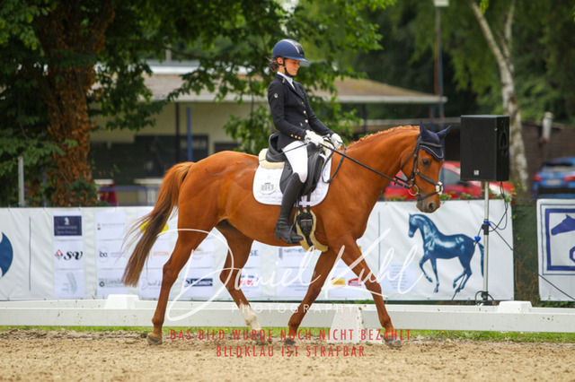 DKP42242 | Turniersportfotografie; Pferdefotografie; Dressurfotografie