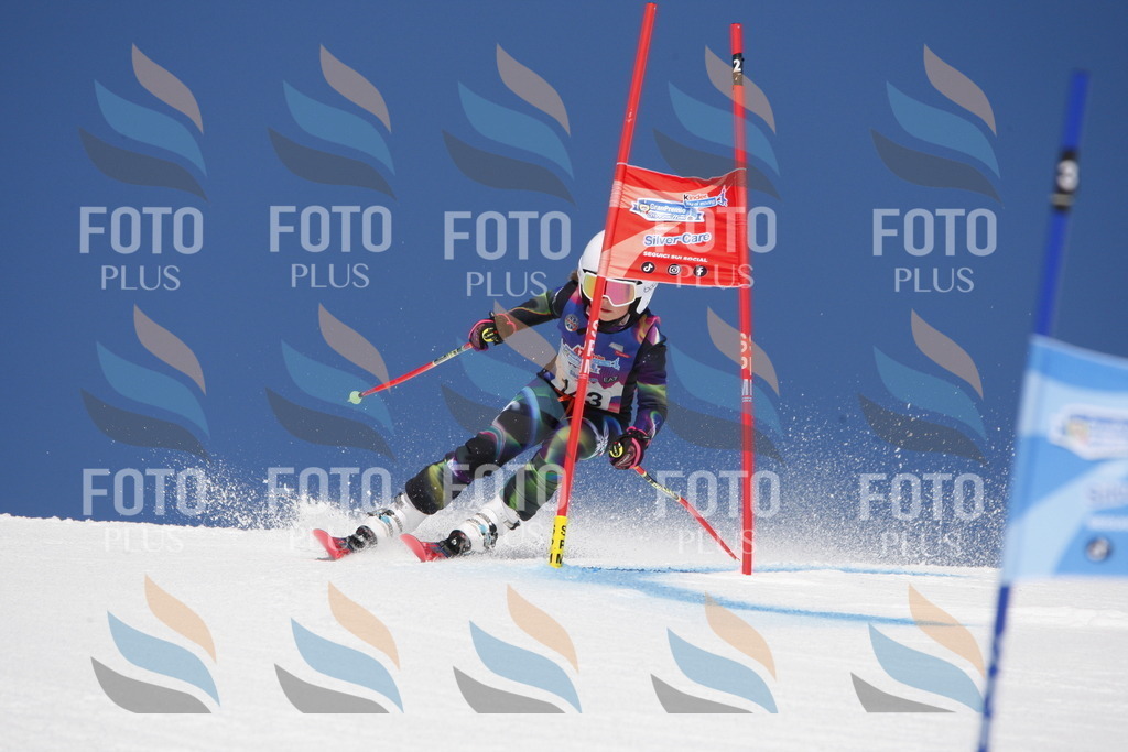 _W1G2131 | holidayphoto