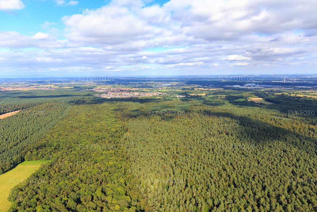 Luftbild: Otterbach-Lichtung im Bienwald Richtung Jockgrim in Kandel im Bundesland Rheinland-Pfalz in Deutschland. Foto: IMG_093353.jpg vom 22.08.2016 durch Werner Riehm/FLY-FOTO.de