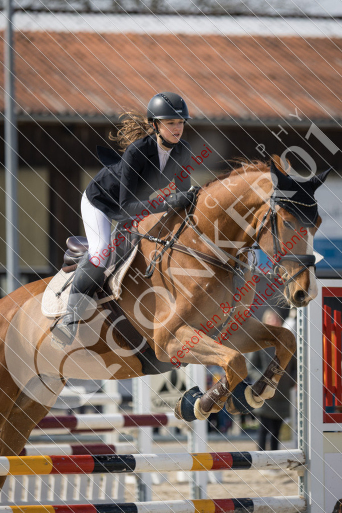 IMG_4275 | Sport-, Event- und Tierfotos in Profiqualität. Einfach auswählen, bestellen und herunterladen. Dein Moment – perfekt festgehalten.