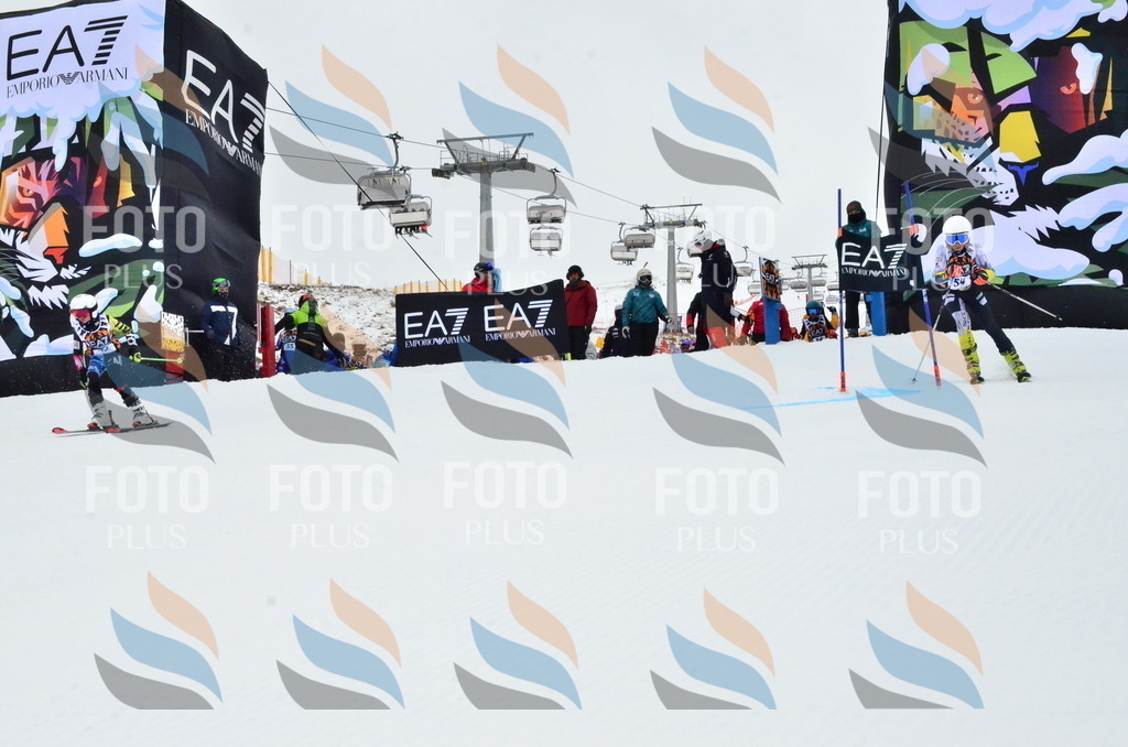 _ELE3402 | holidayphoto