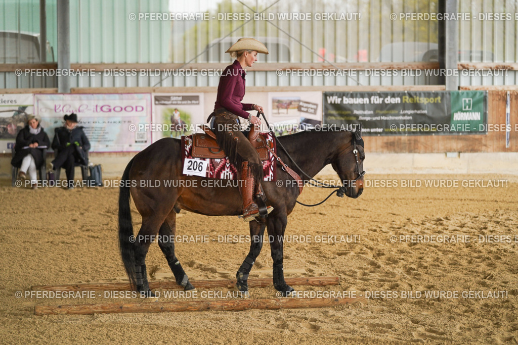 DSC03686 | Pferdegrafie