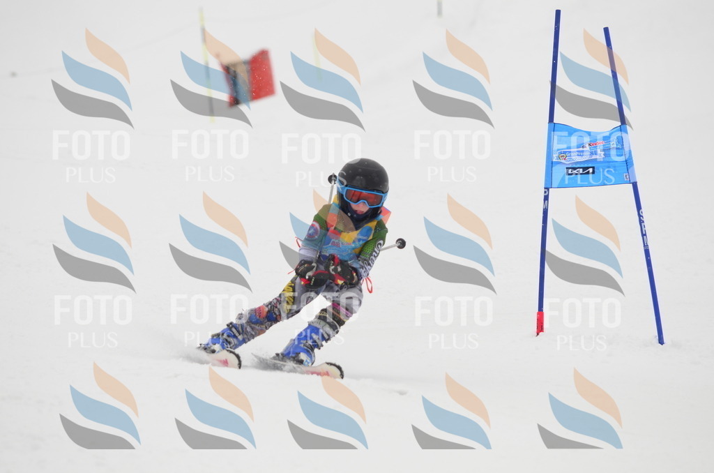 C1071 | holidayphoto