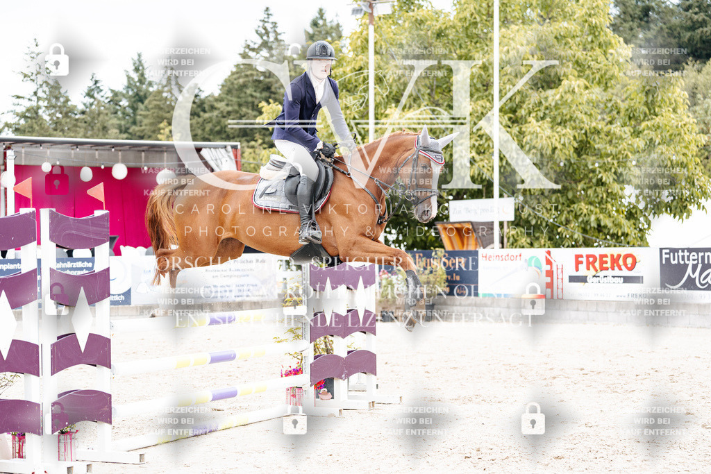 CK909462 | Turnierfotografie Pferdefotografie Trier Rheinland-Pfalz Pferdesport Reitsport Tierfotografie Sportfotografie Pferdevideo Pferdevideografie Equestrianvideography equestrianphotography  - Realisiert mit Pictrs.com