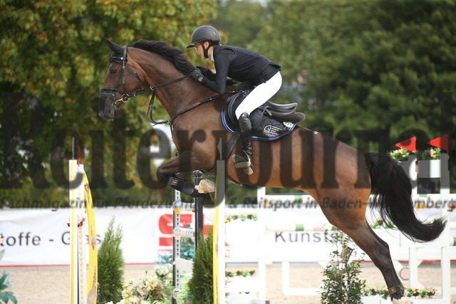 Villingendorf_2022_Prfg.Nr.12_zwei Phasen_Springprfg.Kl.M_Amateur-Tour_Isabell Dörr_Abbeygail T (3) | Alle Fotos der Reiterjournal Fotografin Doris Matthaes im Reiterjournal Online-Fotoshop. - Realizado com Pictrs.com