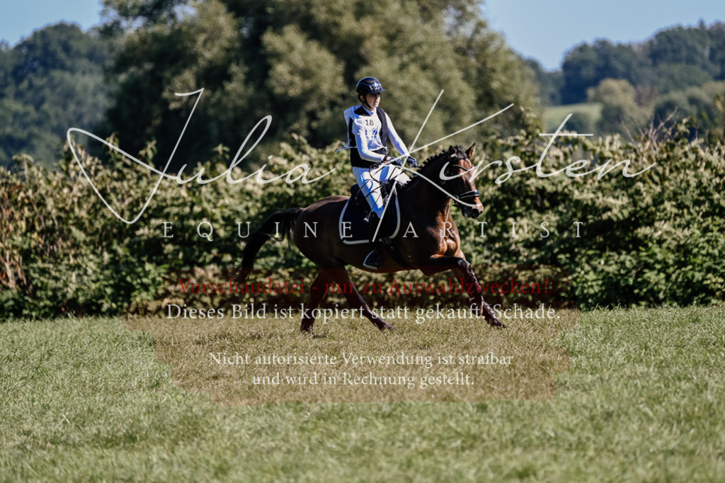 DSC_1312 | Pferde- und Turnierfotografie in Westsachsen. Pferdeportraits, Auftragszeichnungen und intuitive Kunst.