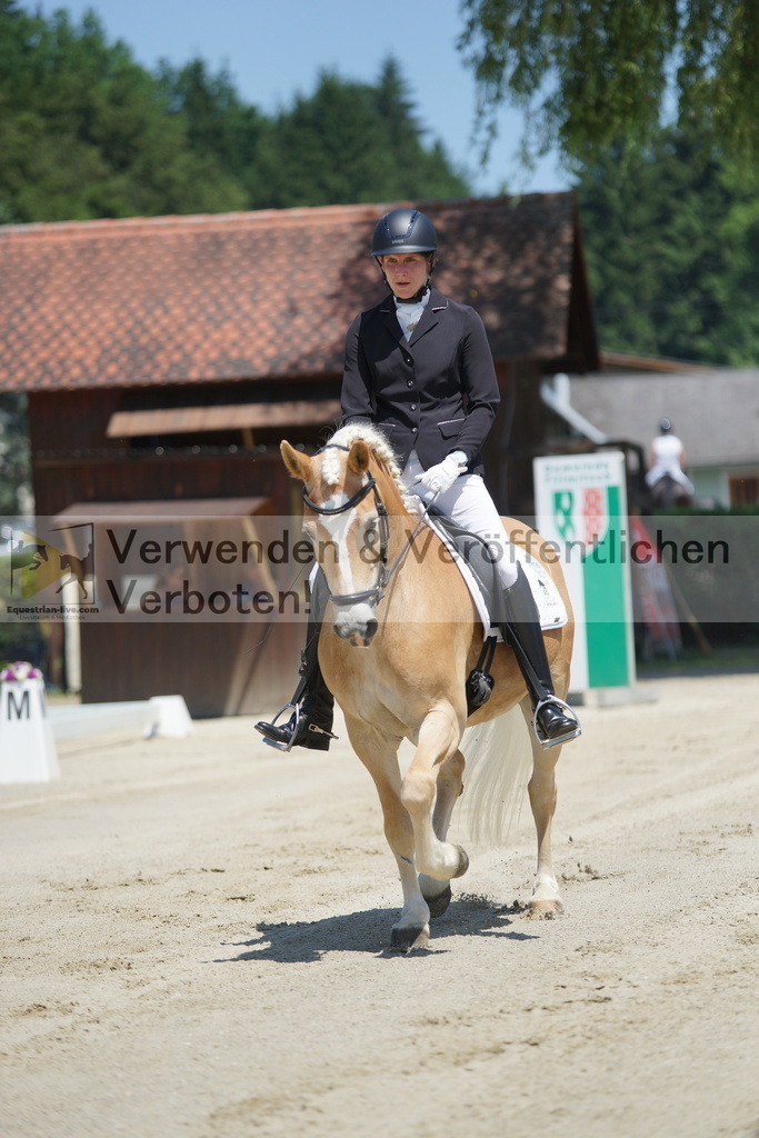 DSC03469 | equestrian-live-com