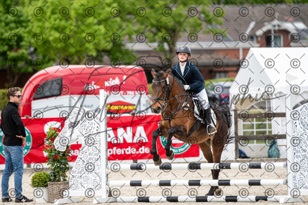 KPT_5881 | andre_photographic