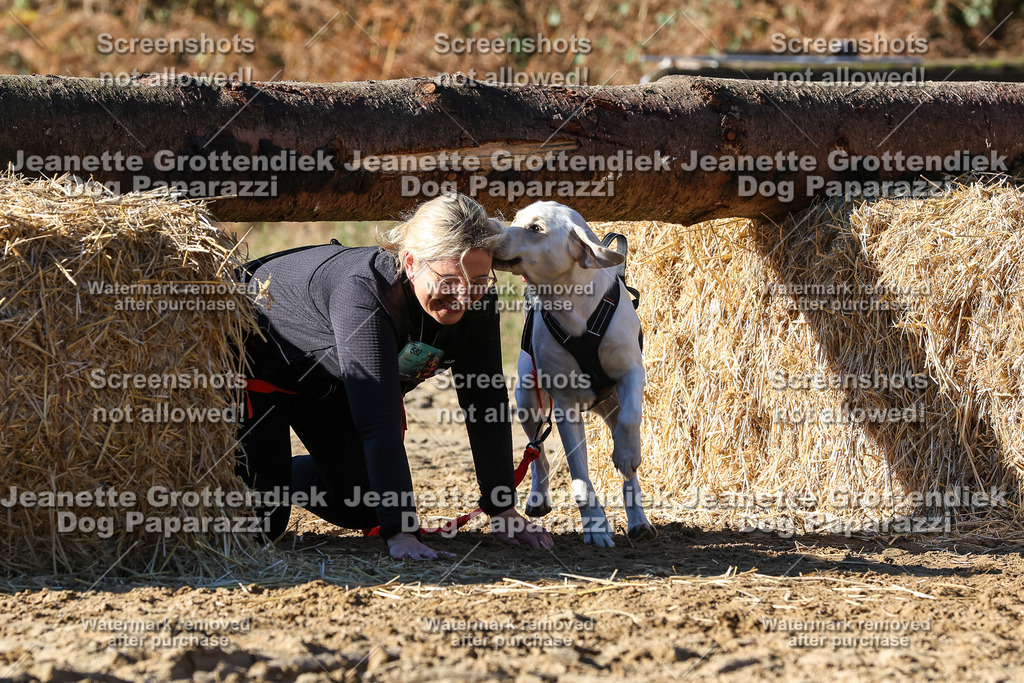 Dog Paparazzi - Strongdog 10-25-2322 | Dog Paparazzi Jeanette Grottendiek Fotografie & Videografie - Realisiert mit Pictrs.com