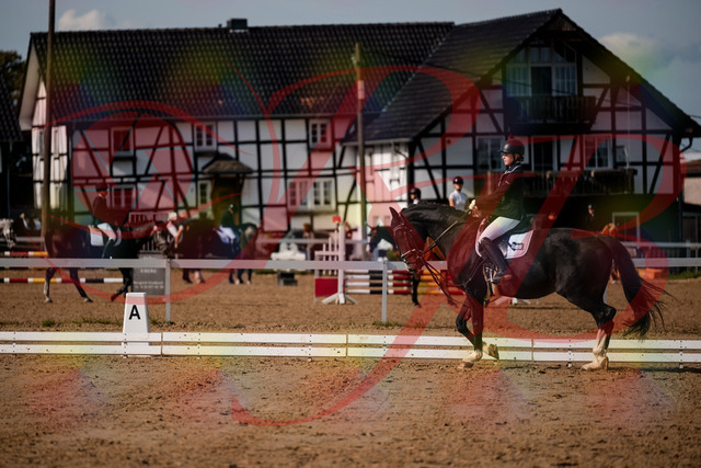 2026_10_03_Siefer-Hof_121445_Z63_40016257 | Professionelle Reitsport-, Turnier- und Eventfotografie von Robert Broda. Galerien mit ausgewählten und bearbeiteten Bildern direkt online ansehen und bestellen.