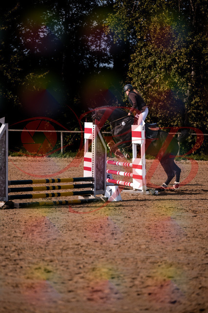 2026_10_03_Siefer-Hof_154341_Z81_61780244 | Professionelle Reitsport-, Turnier- und Eventfotografie von Robert Broda. Galerien mit ausgewählten und bearbeiteten Bildern direkt online ansehen und bestellen.