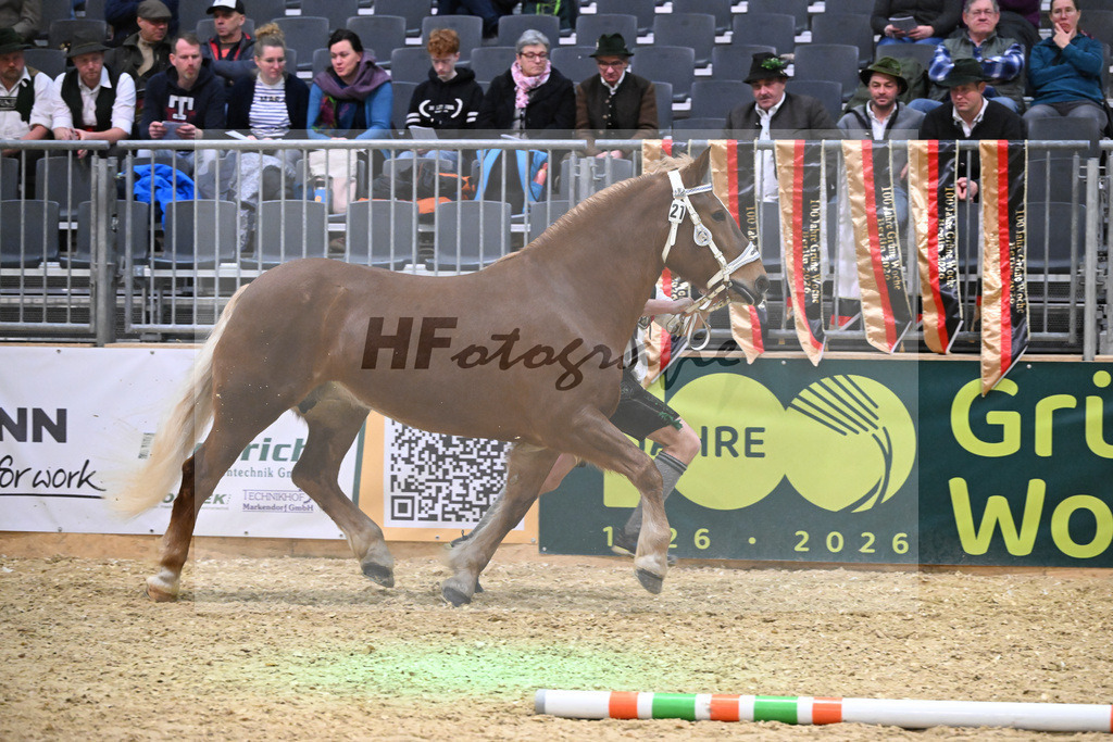 Kat-Nr. 21 Heleni v. Sultan_Hoeck_1260314 | hf-fotografie - Realisiert mit Pictrs.com