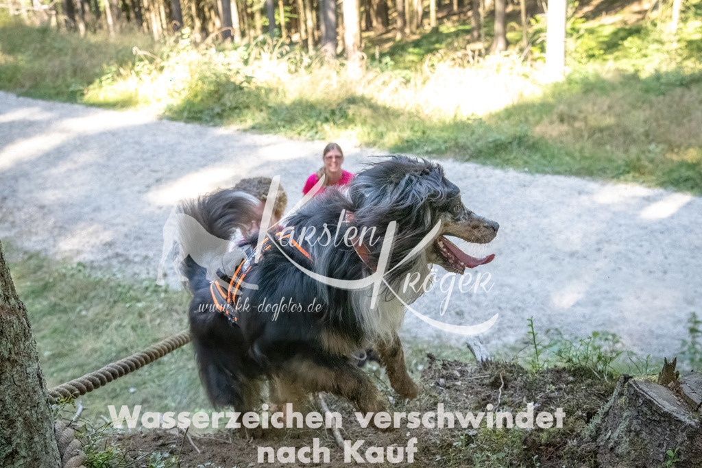 1200_ZZ92863 | kk-dogfotos