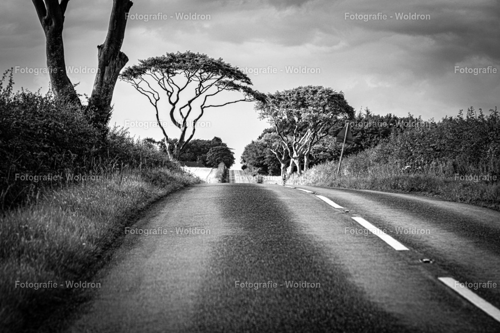 20230815 Isle of Sky - St.Andrews - Dundee-152 | Fotografie Woldron