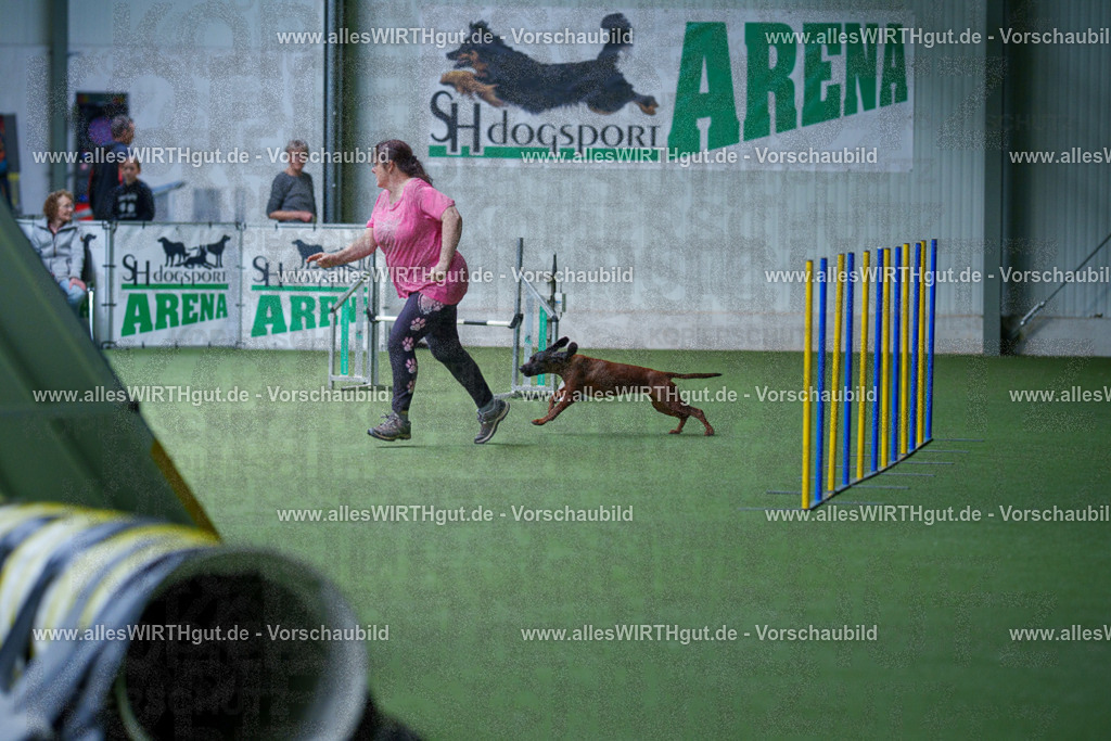 @allesWIRTHgut_Tierfotografie - www.allesWIRTHgut.de - 2604251235-7R502184 | Professionelle Tierfotografie in Mönchengladbach von Daniel Wirth (allesWIRTHgut). Liebevolle & natürliche Bilder von Hunden & Katzen für unvergessliche Erinnerungen.
