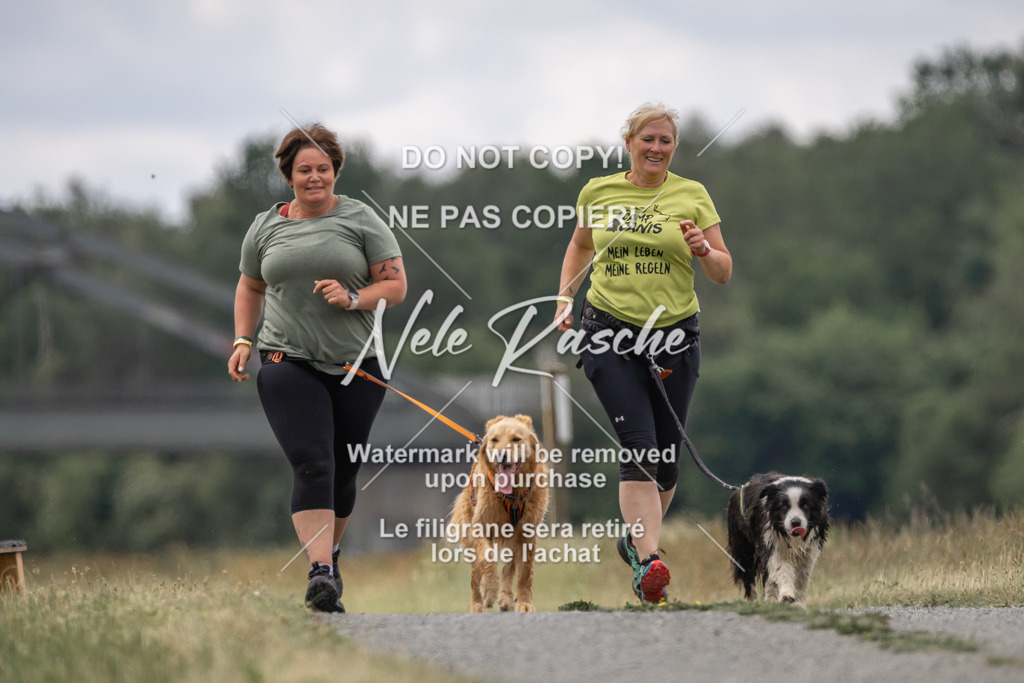 nelerasche_BuHu2026_SaCC1100-1200_249 | nelerasche