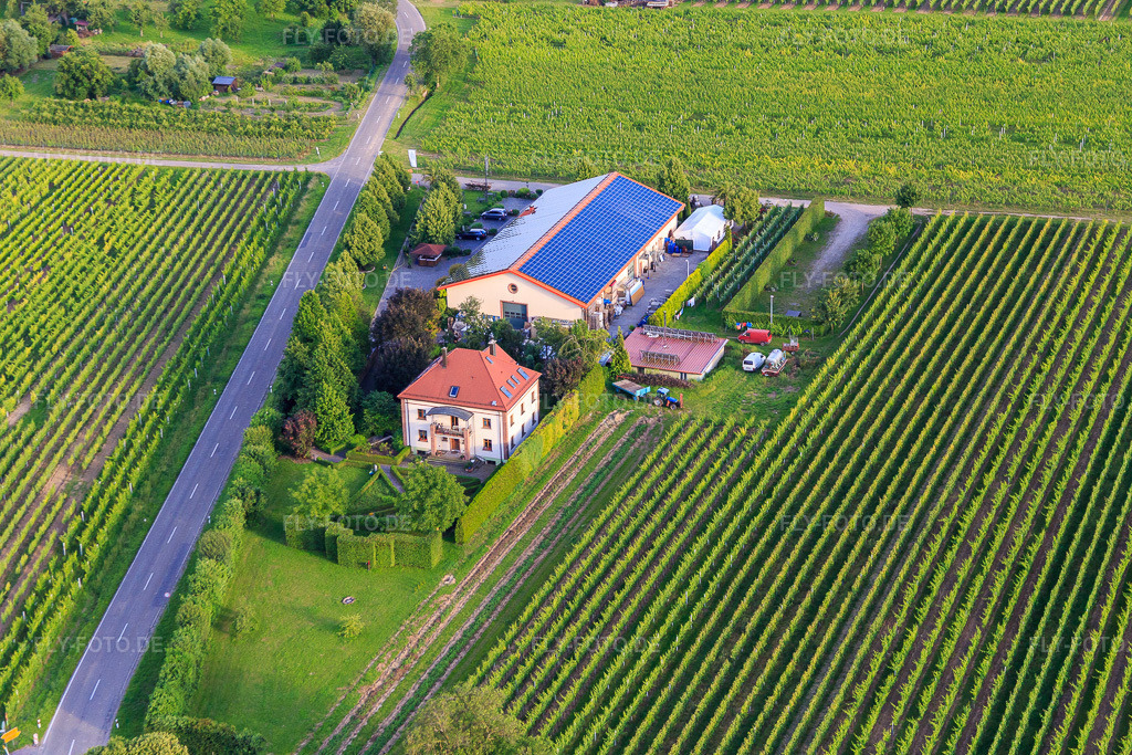 Luftbild: Villa Hochdörffer - Weingut & Gästehaus im Ortsteil Nußdorf in Landau im Bundesland Rheinland-Pfalz in Deutschland. Foto: IMG_090170.jpg vom 26.06.2016 durch Werner Riehm/FLY-FOTO.deWeingut Villa Hochdörffer