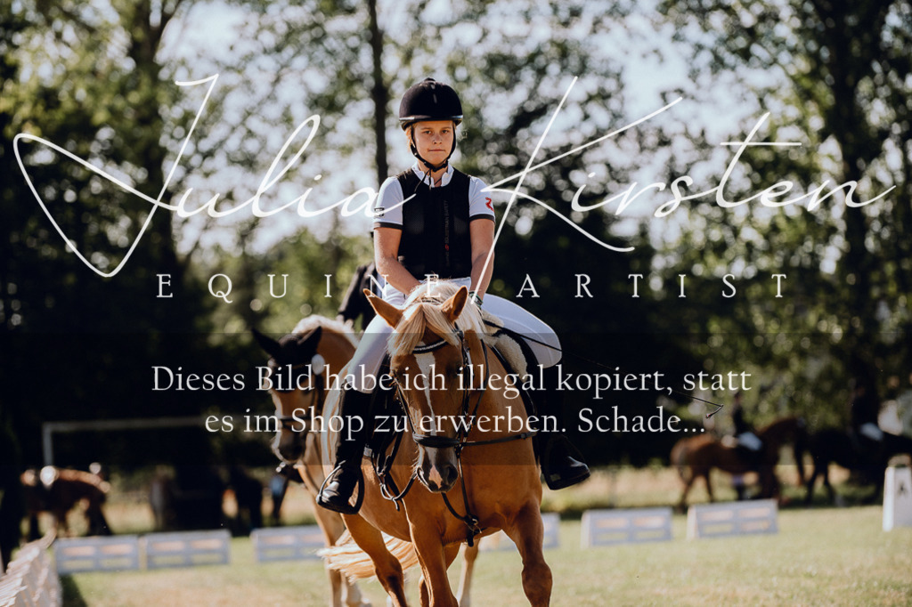 DSC_7066 | Pferde- und Turnierfotografie in Westsachsen. Pferdeportraits, Auftragszeichnungen und intuitive Kunst.