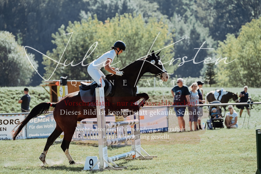 DSC_5906 | Pferde- und Turnierfotografie in Westsachsen. Pferdeportraits, Auftragszeichnungen und intuitive Kunst.