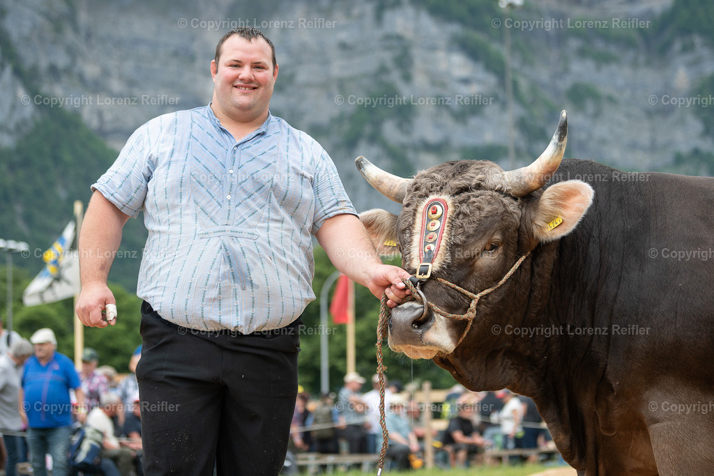 Schwingen -  Glarner Bündner 2024 | Glarus, 20.5.24, Schwingen - Glarner Bündner.