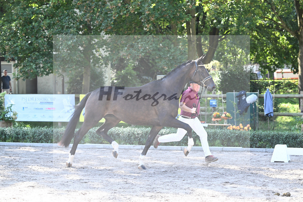 Kat-Nr. 21 Charlotte_Niedermair_36230903 | hf-fotografie - Realisiert mit Pictrs.com