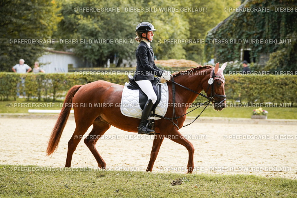 DSC00965 | Pferdegrafie