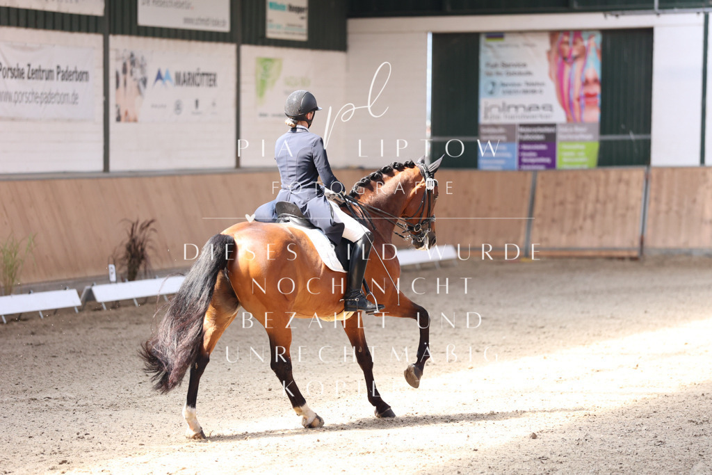 IMGM4004 | pl-fotografie