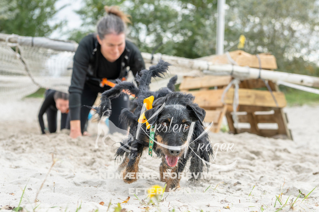 1524_ZZ95037 | kk-dogfotos