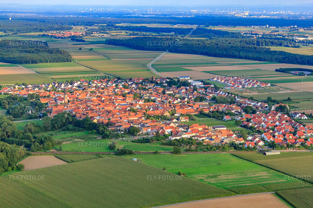 Luftbild: Dorfansicht von Nordwesten in Steinweiler im Bundesland Rheinland-Pfalz in Deutschland. Foto: IMG_33176.jpg vom 04.09.2010 durch Werner Riehm/FLY-FOTO.de