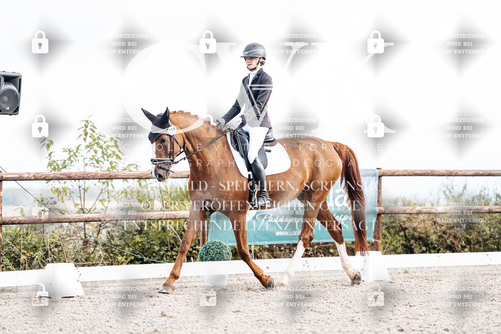 CK900577 | Turnierfotografie Pferdefotografie Trier Rheinland-Pfalz Pferdesport Reitsport Tierfotografie Sportfotografie Pferdevideo Pferdevideografie Equestrianvideography equestrianphotography  - Realisiert mit Pictrs.com
