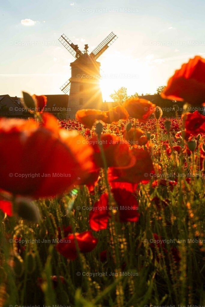 _M5D2927 | Leipzig Wandbilder Drucke Prints Leinwand Stadtmotive Leipzig Fotosdruck Kunstdrucke Bilder Leipzig Stadtansichten Acrylglasbilder Leipzig Wanddeko Fine Art Prints Wandbilder Büro Leipzig Bilder Praxis Zuhause Bilderdruck Poster Posterlounge Kunstdrucke - Realisiert mit Pictrs.com