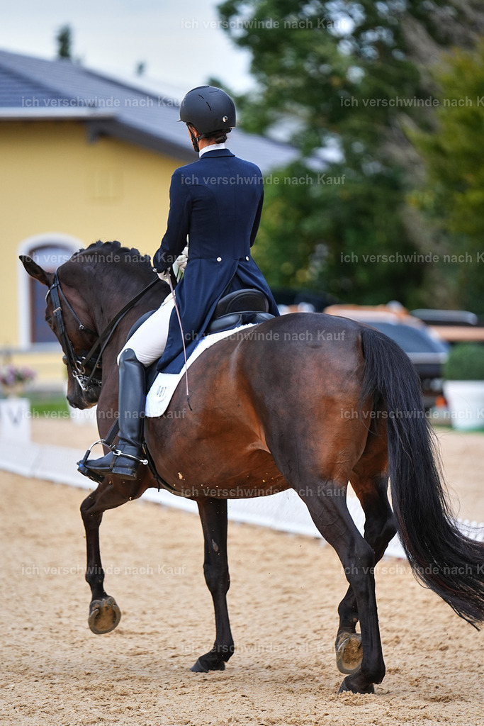 8_1-087-Klasse S_  -Marixx-4118 | working equitationturnier fotograf videograf stoibphotography marixx film working equitation deutschland reitsport turnierfotografie eventfotografie equestrian events