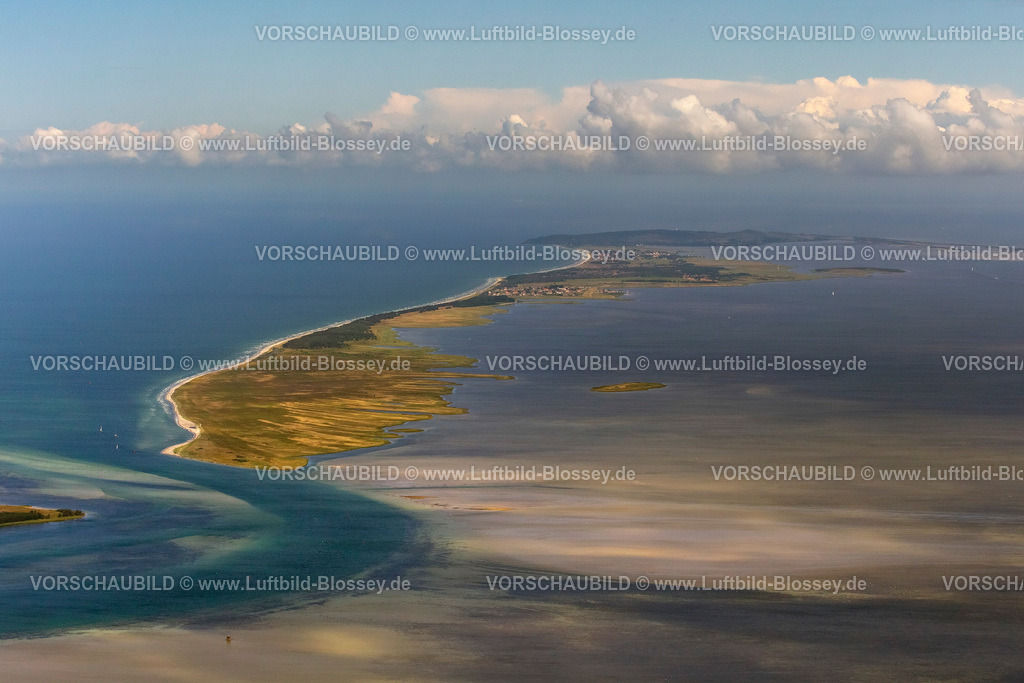 Hiddensee12081670 | Süden der Insel Hiddensee, Naturschutzgebiete Gellen und Gänsewerder, Naturschutzgebiet Dünenheide, Heidelandschaft,  Klausdorf, Ostseeinsel, Mecklenburg-Vorpommern, Deutschland, Europa 