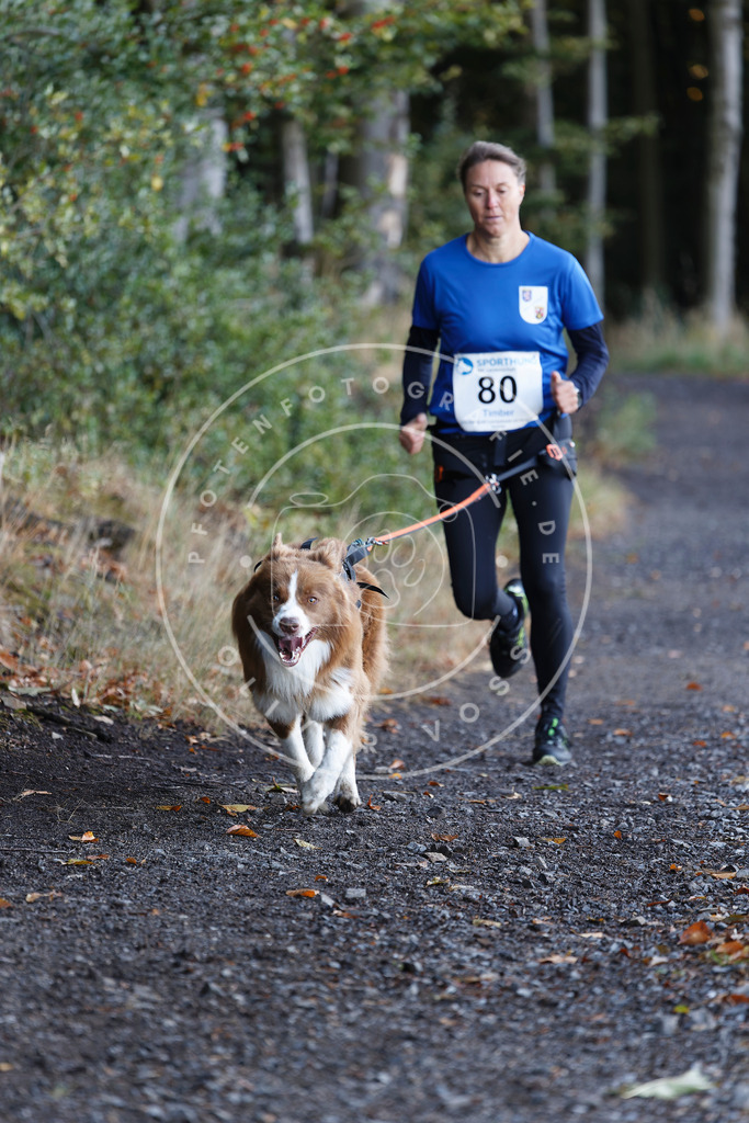 0L8A2064 | Hundefotografie, Tierfotograf, Pfotenfotografie, Fotoshooting Hund, Hunde Portrait, Hundesport, Hundeportraits, Heideshooting, Hunde, Sportfotograf, Hundefotograf, Turnierhundsport, THS,  - Realisiert mit Pictrs.com