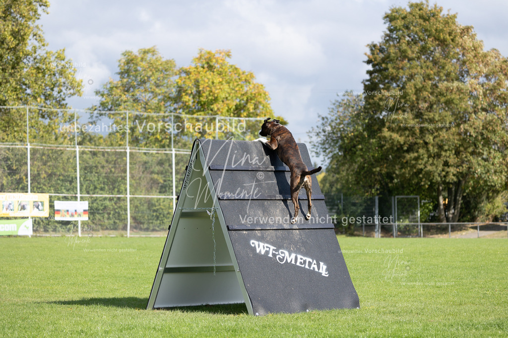 _16A6912 | Einzigartige Fotos von Hunden & Menschen –Actionfotos, Portraits, Vereinsaufnahmen & Paarshootings – authentisch, lebendig & mit Herz.