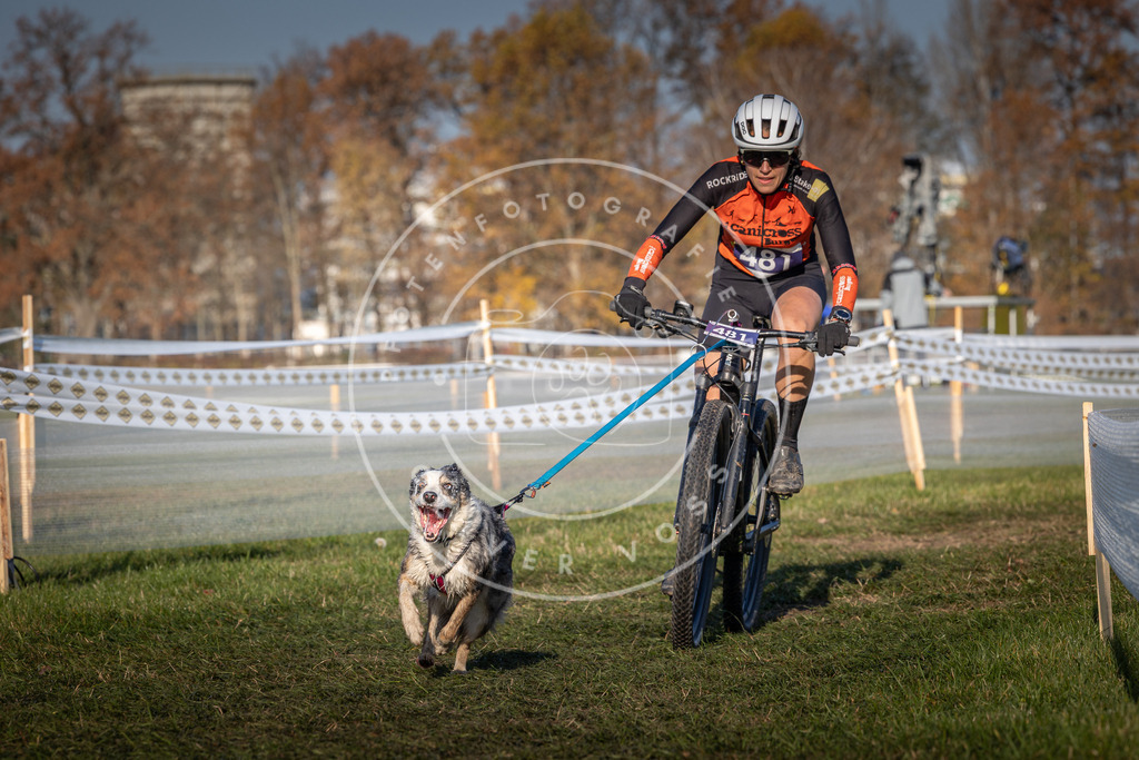 CaniXpix_0L8A4695 | Hundefotografie, Tierfotograf, Pfotenfotografie, Fotoshooting Hund, Hunde Portrait, Hundesport, Hundeportraits, Heideshooting, Hunde, Sportfotograf, Hundefotograf, Turnierhundsport, THS,  - Realisiert mit Pictrs.com