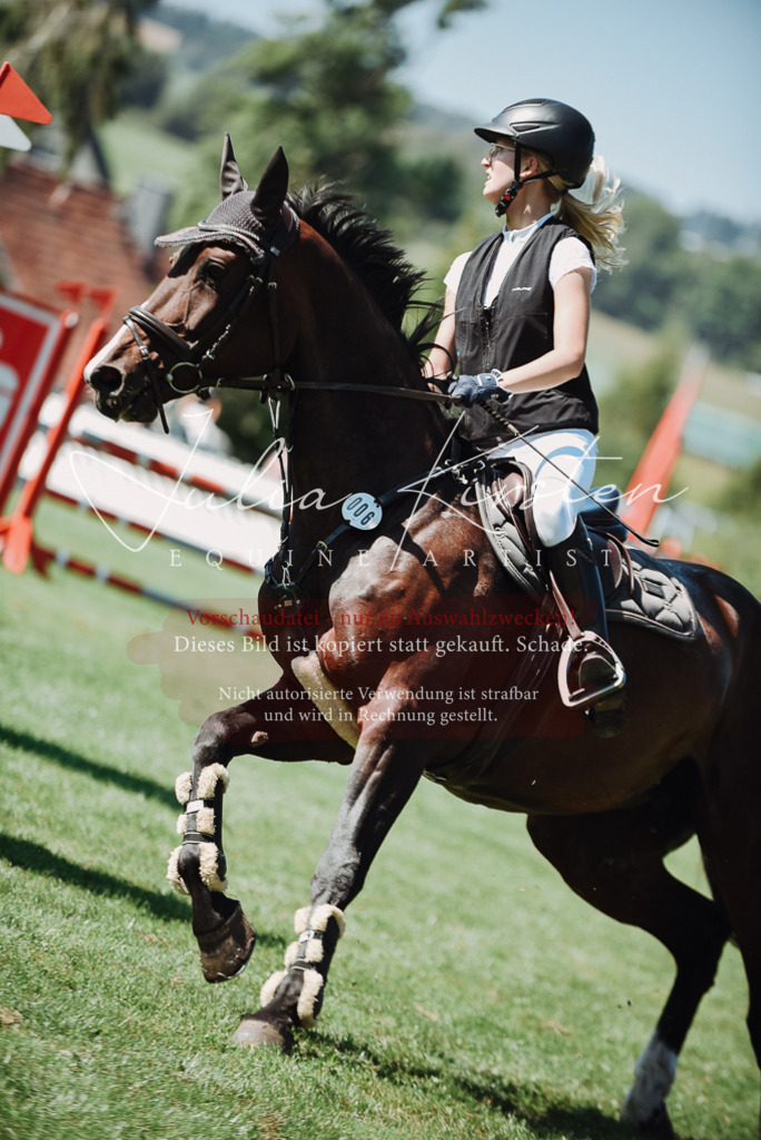 DSC_3175 | Pferde- und Turnierfotografie in Westsachsen. Pferdeportraits, Auftragszeichnungen und intuitive Kunst.
